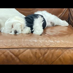 Meet your Posher, Nelson